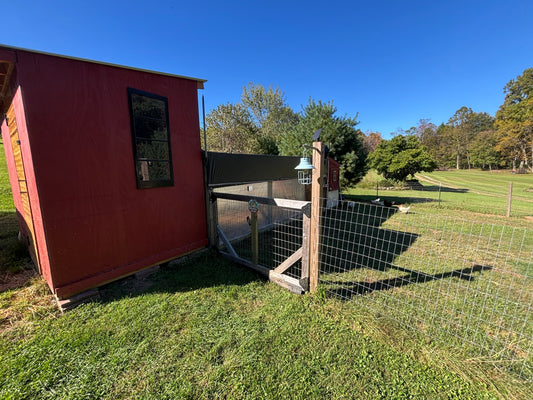 8 Chicken Coop Mistakes That Can Make Your Life Miserable